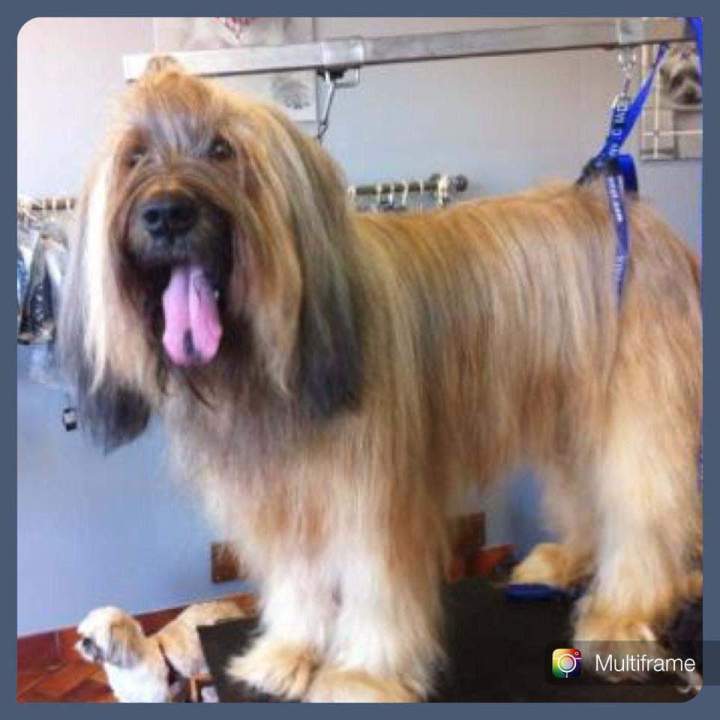 Mise en beauté complète Saint-Jean-de-Braye