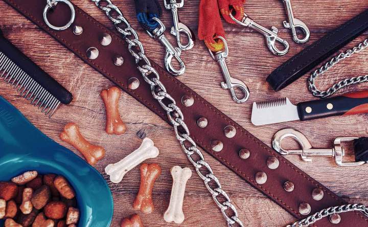 Vente d'accessoires pour chien Saint-Jean-de-Braye